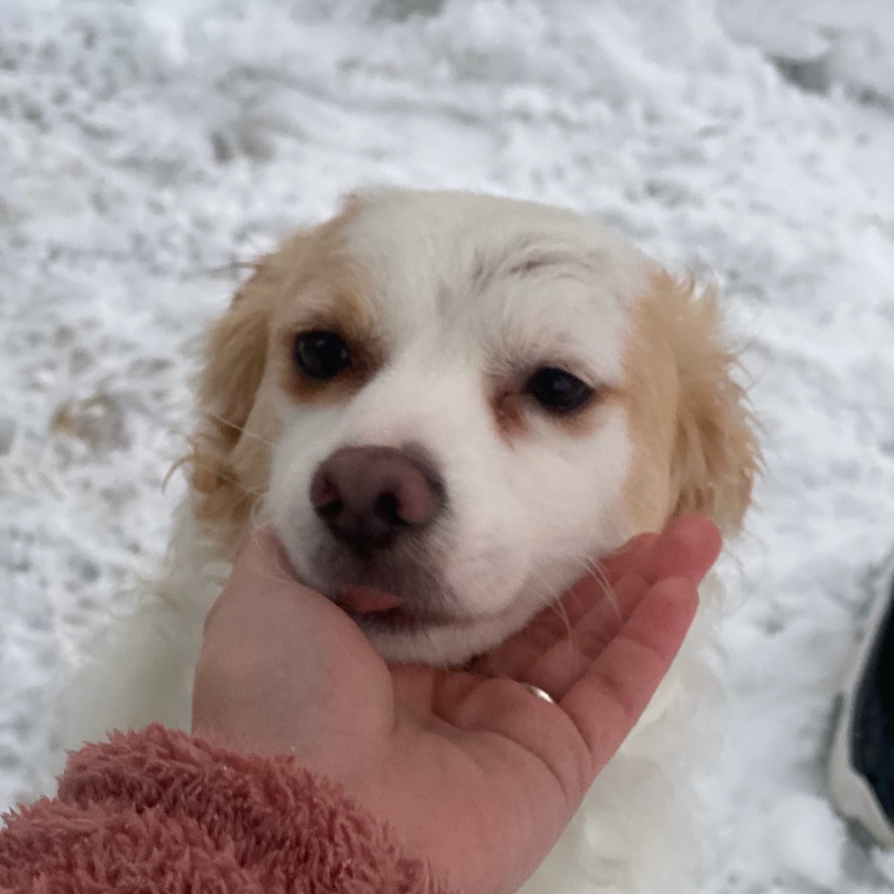 Meet your Posher, Estefany